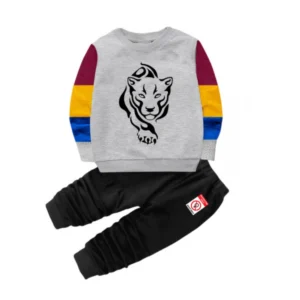 Boy’s Casual Full Sleeve Printed Cotton T Shirt With Pant (Grey)