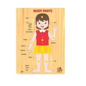 Body Parts | Wood | Educational Toys | 3+ Years – view 2