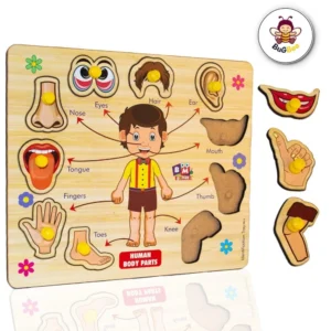 Wooden Puzzle – Body parts | Wood | Educational Toys | 3+ Years