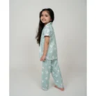 Girl’s Silk Bleand Printed Short Sleeve Night Suit Set (Light Green) – view 3